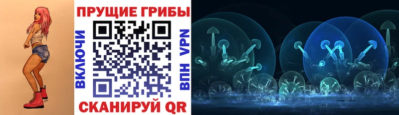shop наркотические препараты  наркошоп  Урень  Галлюциногенные грибы Cubensis  hydra ССЫЛКА 