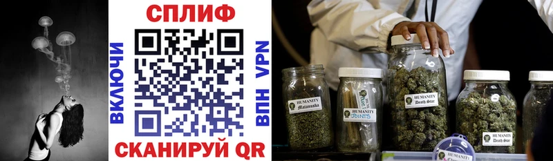 Бошки Шишки MAZAR Урень